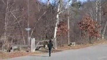 Backyard Flyer Video