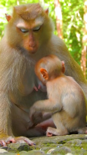 1.1M views · 13K reactions | Good Or Bad on Reels | Facebook