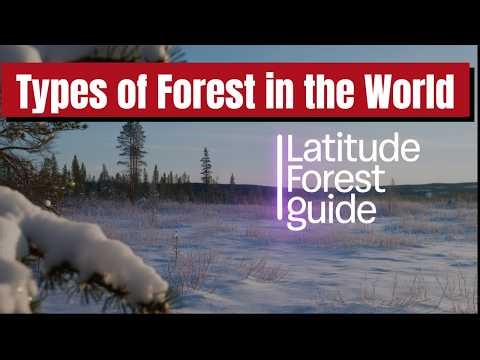 Types of Forests in the World | Classification by Latitude, Altitude & Land Area