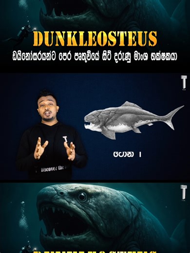 Dunkleosteus - ඩයිනෝසරයන්ට බිහිවීමට පෙර පෘතුවි සාගරයේ සිටි දරුණු සත්වයා සම්පූර්ණ වීඩියෝ එක බලන්න TC.LK YouTube channel එකත් සමග එකතු වෙන්න #dinasours #animals #fish #History #knowledge