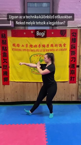 Seven Star Mantis KungFu✨ #martialarts #kungfu #mantis #training