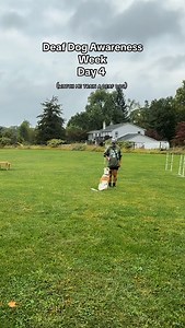 Day 4 of Deaf Dog Awareness Week Instead of just giving tips today, I wanted to show you a real training session with Cybil. Watch closely for the hand signals I use with her- this is how we communicate together. A few years ago, Cybil was our sweet “wild child.” Now, with the right training, consistency, and a loving forever home, she’s grown into a focused, smart, and hard-working girl. Seeing her blossom every time she comes to farm camp is such a gift. Training deaf dogs isn’t about limitati