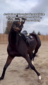 5.4K views · 2.2K reactions | I think it’s time to get off the internet. My feed is going crazy. I am headed out to do some chores  If your feed is getting carried away as well. Here’s a better good way to channel your energy: https://youtube.com/@horseteacher?si=wWvkqq8QWpN1z_Ks #schoolofhorse #equinemasterclass #horsetrainingtips #horsemanship #steverotherhorsemanship #theschoolofhorse | Steve Rother Horsemanship - The School of Horse | Facebook