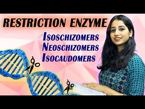 Restriction Enzyme Types I Isoschizomers, Neoschizomers, and Isocaudomers I RDT I Biotechnology