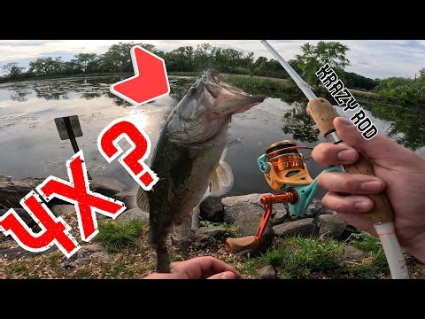 Epic Bass Fishing Bonanza: 4 Monster Catches on Lake Waubesa, Wisconsin!