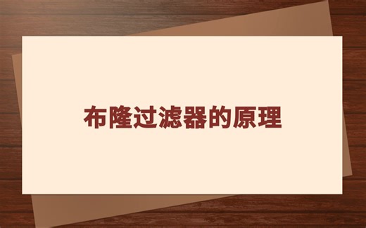 什么是布隆过滤器(BloomFilter)？