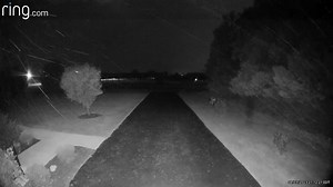 Nathan Harmon Berkeley County Sheriff's Dept. - WV Berkeley County Animal Control - WV Updated: DO THE RIGHT THING! Surrender the dog to Animal Control. Place the dog in a pen at the Humane Society. We only want the dog to be safe. For everyone else, if you have any information that will add to what is known, please step up and give a statement. Anonymous telephone calls to animal control do not help! Commenting and sharing are great but only stepping up and doing the right thing will help this 