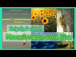 Στήριξη σε μονοκύτταρους, φυτά, ζώα • Στήριξη & κίνηση • Κεφ. 5.1