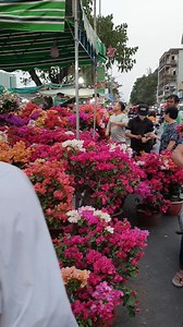 145K views · 1.9K reactions | Chợ Hoa Tết Trên Bến Dưới Thuyền .... | Saigon Travel | Facebook