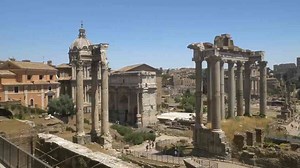 When animals are trained to do jobs humans cannot