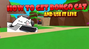 How To Use Bongo Cat [Live] And Setup Tutorial