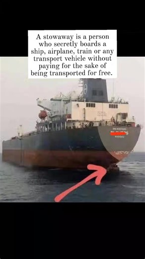 A STOWAWAY is a person who secretly boards a ship, aircraft, or other vehicle, typically to travel without paying or being detected. In the context of shipping and cargo, stowaways can be a concern for vessel operators and cargo owners, as they can pose safety and security risks. | Master Engineer Fix