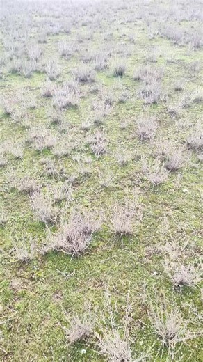 Allah Hamının malına bərəkət versin 🤌