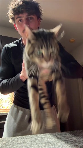 #fyp #fypシ | little people stephen hawking video