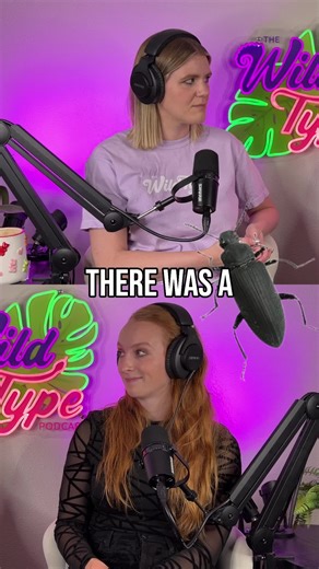 The Reality of Being a Reptile Keeper: A Podcast Discussion