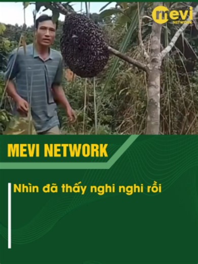 Bắt như này tốn người lắm anh ơi🤣 #mevinetwork