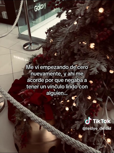 Empezando de Cero: Reflexiones Sobre Nuevos Comienzos