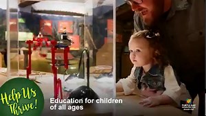 67 reactions · 6 comments | Turtle Bay Exploration Park is WAY more than a Museum! We are a gathering place for our community, inspiring wonder, exploration, & appreciation of our world. Your support helps us continue to provide all the Wonder-Full experiences the Park has to offer. | Turtle Bay Exploration Park | Facebook