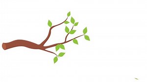 Animation Tree Branches Leaves Some Fallen Stock Footage Video (100% Royalty-free) 3597038383 | Shutterstock