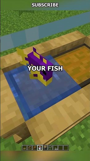 Minecraft Aquarium build!