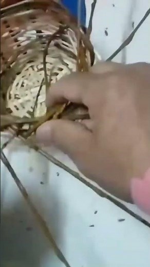 COMO HACER UNA CANASTA DE MIMBRE.