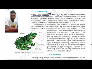 Part 6 Frogs || Structural Organisation in animals class 11 NCERT line by line.