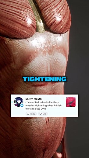 Why Your Muscles Feel Tight After a Workout Explained