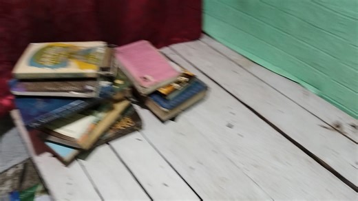 6th Batch of Book Sorting in my private library : 31 volumes were totally destroyed and 24 volumes partially damaged by termites . . . 020926 | Bamby Blanco Andico