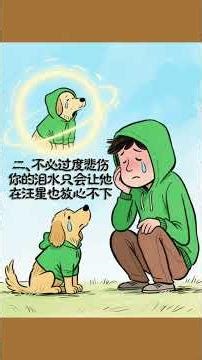 What You Must Understand After Your Dog Passes | 当狗狗离世后你要明白的事 #Shorts