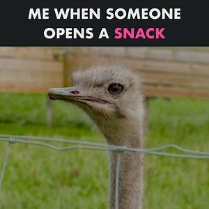 Every. Single. Time. | BBC Two