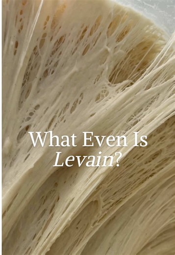 Understanding Levain: The Key to Perfect Sourdough