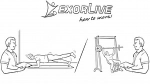 Se hur Exorlive kan hjälpa dig i arbeta med fitness! Hitta och skapa professionella träningsprogram. | ExorLive