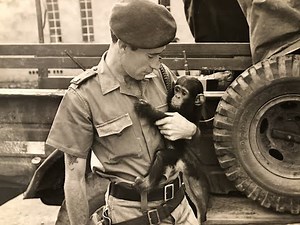 'Mad Mike' Hoare: What kind of men became Wild Geese in the Congo - and why?