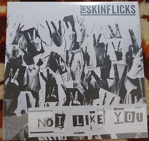 The Skinflicks - Not Like You