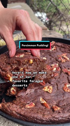 How to Make Wild Persimmon Pudding!