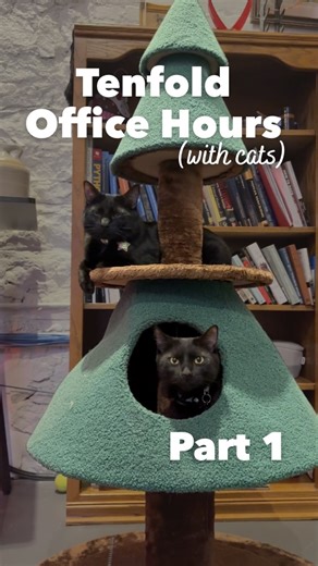 Tenfold Security on Instagram: "Tenfold Office Hours (with cats) We asked our office cats 5 common cybersecurity questions we hear from small and midsize businesses (and they didn’t hold back). This time, our toughest critics answered: 1. Do small businesses really need cybersecurity? 2. What’s the first thing a business should focus on? 3. If we already have an IT person, do we really need anything else for cybersecurity? 4. Do we really need formal security policies, or can we just rely on com