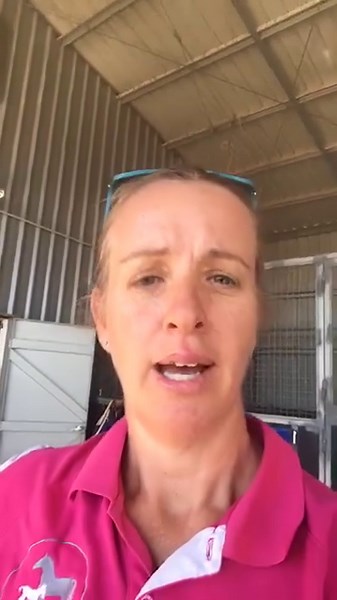 8.7K views · 260 reactions | Here is Dr Louise flushing a mare after she has given birth and had retained membranes. This is from 2017 breeding season. #100%equine #eevs #eevsvet #horsevet #equinevet #drlouisecosgrove #equineveterinary #drlouise #equinecare #horsecare #horse #LockyerValley #EquineVeterinaryService #horsevet #eevshorses #equinevet #louisecosgrove #retainedmembraines #horsebreeding #mare #foal | Exclusively Equine | Facebook