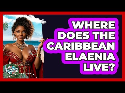 Where Does the Caribbean Elaenia Live?