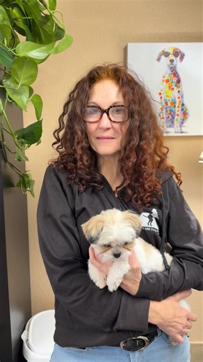 NMDR on Instagram: "Did you know that when you grocery shop at ANY Kroger family of stores (seen at the end of this video), your purchase will help raise money for National Mill Dog Rescue? Just go to the webpage of your local Kroger family store, register your loyalty card, and click Community Rewards under My Account. Search for us by name or our unique code: EG905. When you check out at the register, enter your account phone number…you save and our dogs benefit! We value our partnerships with