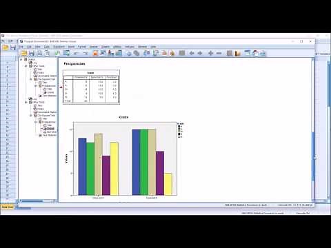 Chi-Square Goodness of Fit Test in SPSS