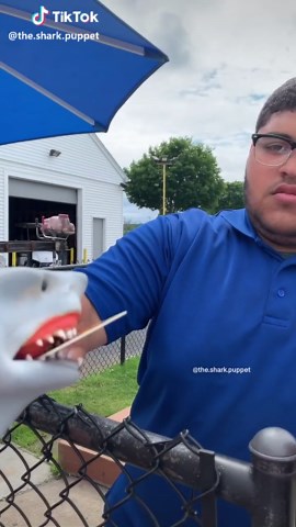 Shark Puppet TikTok Let Me Drive the Boat Original