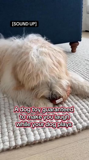 💩🐾 Endless giggles for everyone—yes, even the pups! This talking poop toy turns playtime into a hilarious, laugh-out-loud experience for kids, adults, and furry friends alike. 🎉🤣 Perfect for family fun, pranks, and silly moments that never get old! 🛒 Get now>> https://dogcollarss.com/products/funny-talking-poop-plush-toy | Dogcollarss