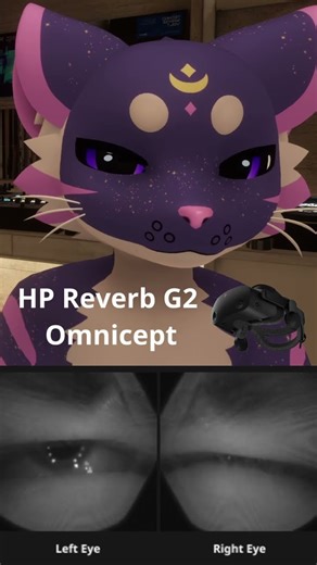 Eye Tracking on the HP Reverb G2 Omnicept