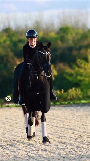 The Graceful Movements of Dancing Horses in Dressage