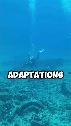 Creatures That Live Without Sunlight 🌑🐚 || #oceanfacts #sciencefacts ‪@VerifexFacts‬