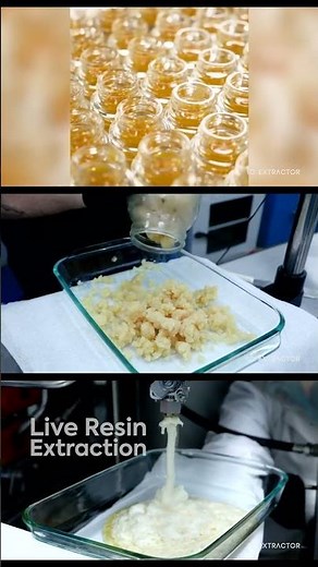 Meet the Luna Technologies Io Extractor. The only fully automated, closed-loop BHO extractor.