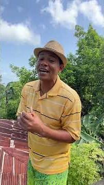 The fortune that changed the Dominican face