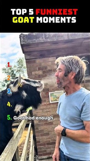 Top 5 Funniest Goat Moments 😂