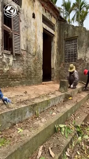 152K views · 1.9K reactions | Clean up satisfaction #EpicCleanup #HistoryUncovered #LawnTransformation #cleaning #clean | Clean Up TV | Facebook