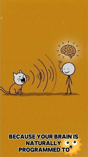 Why Cats Meow Only To Humans (Science Finally Explains Why)